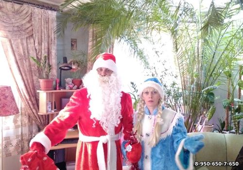Дед Мороз на дом и Снегурочка в Новый Год 2019 в дом заказать недорого